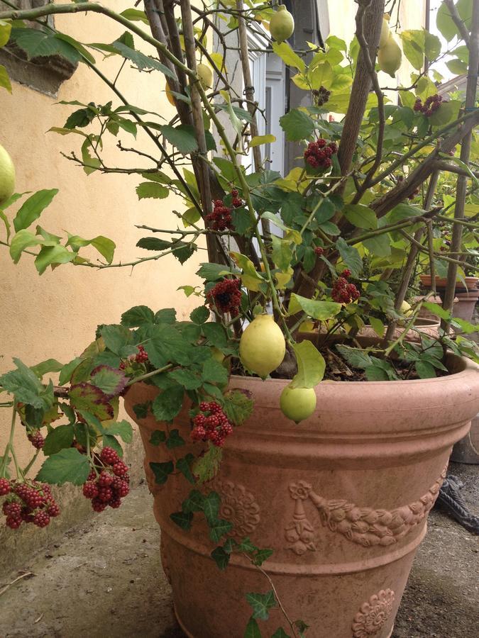 Relais Villa Poschi Pugnano ภายนอก รูปภาพ